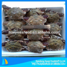 price of 150-300g first rate frozen whole round blue swimming crab